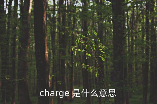 charge，charge 單詞是什么意思