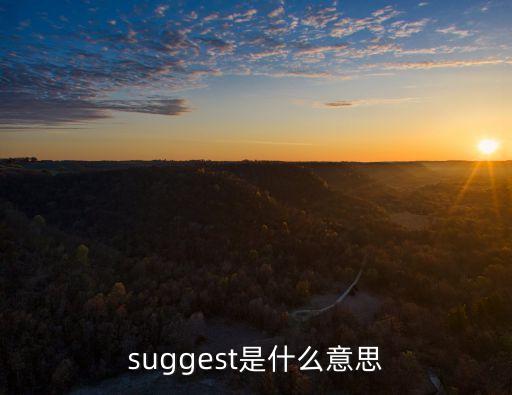 suggest是什么意思