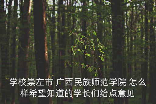 學校崇左市 廣西民族師范學院 怎么樣希望知道的學長們給點意見
