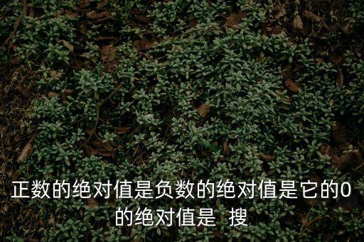 正數(shù)的絕對(duì)值是負(fù)數(shù)的絕對(duì)值是它的0的絕對(duì)值是  搜