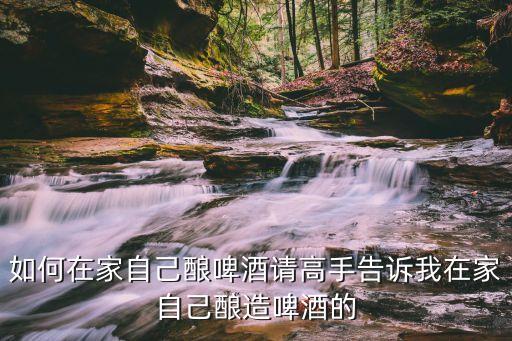 自釀啤酒，如何在家自己釀啤酒請高手告訴我在家自己釀造啤酒的