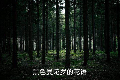 黑色曼陀羅的花語