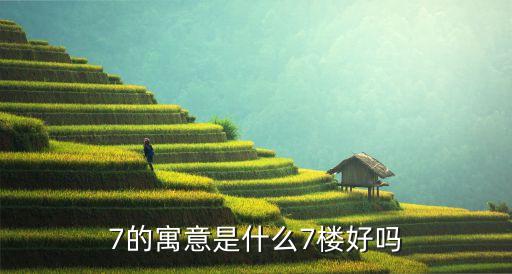 七樓，7樓的房子好么