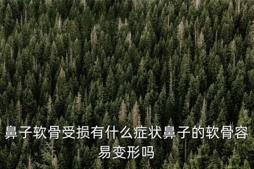 鼻子軟骨斷了的表現(xiàn)，鼻子軟骨受損有什么癥狀鼻子的軟骨容易變形嗎