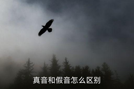 真音和假音怎么區(qū)別
