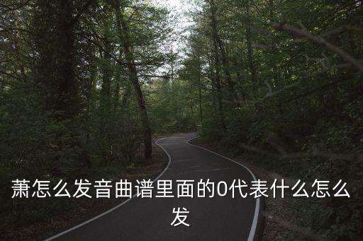 蕭怎么發音曲譜里面的0代表什么怎么發
