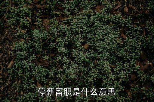 停薪留職是什么意思