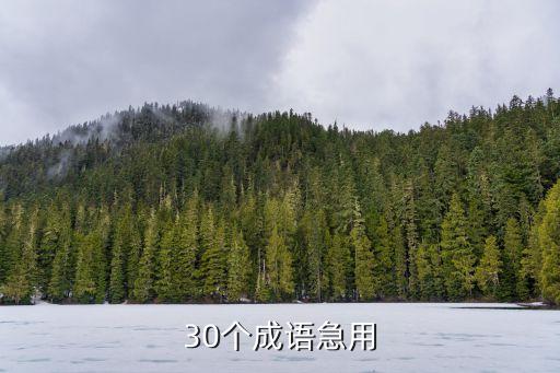 成語集，四字成語大全