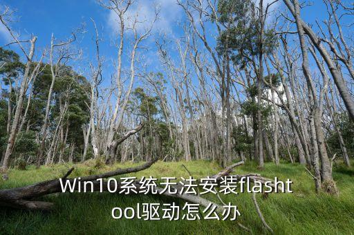 Win10系統無法安裝flashtool驅動怎么辦