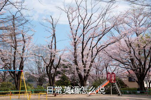 日常的英文，今天的日常英語怎么說