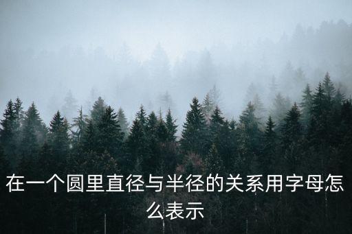 在一個圓里直徑與半徑的關系用字母怎么表示