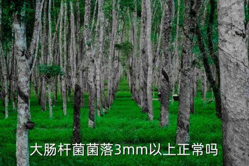 大腸桿菌菌落3mm以上正常嗎