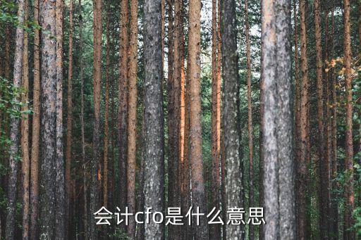 cfo，首席財務官是什么