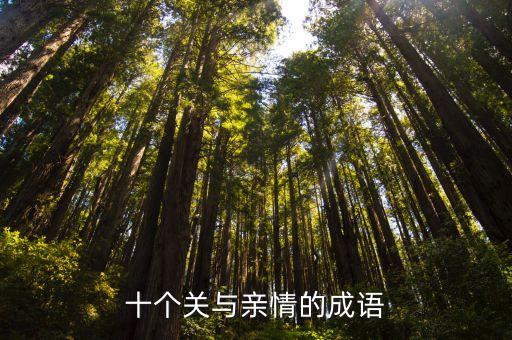 十個關(guān)與親情的成語