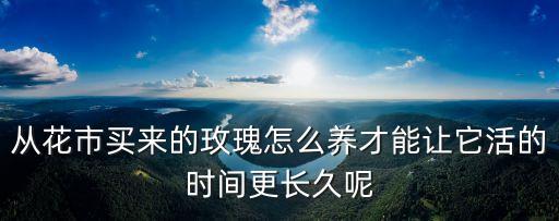 收到的玫瑰花束怎么養，從花市買來的玫瑰怎么養才能讓它活的時間更長久呢