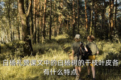 白楊樹皮，白楊皮是什么 趕什么用的