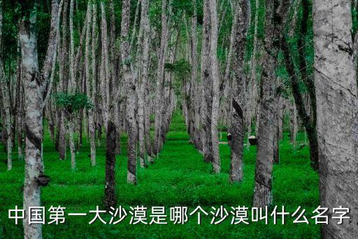 中國最大的沙漠，中國最大的沙漠是哪個啊