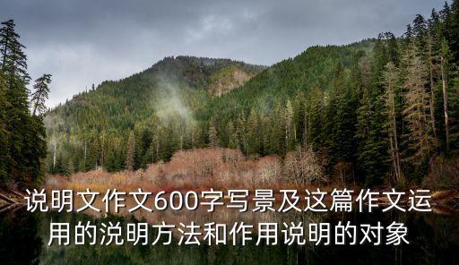 說明文作文600字，說明文作文600字寫景及這篇作文運用的涚明方法和作用說明的對象