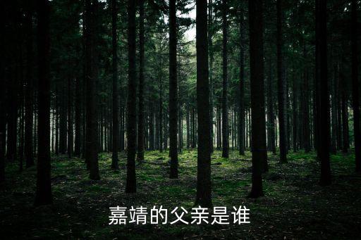 嘉靖的父親是誰