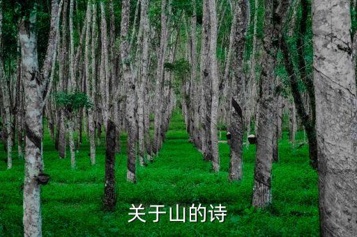 寫山的詩句，要寫山的詩