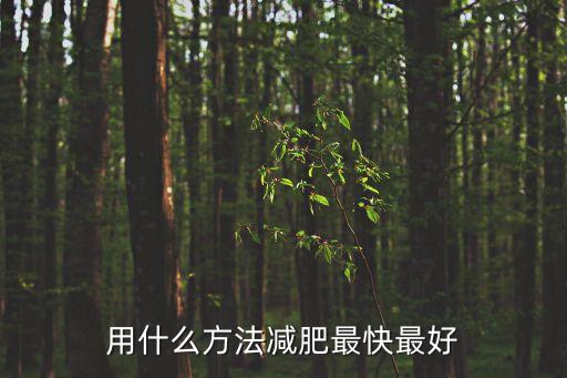 用什么方法減肥最快最好