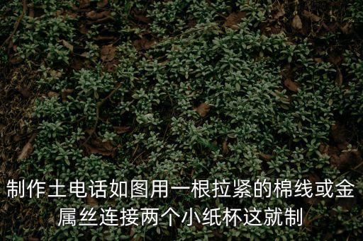 制作土電話如圖用一根拉緊的棉線或金屬絲連接兩個小紙杯這就制
