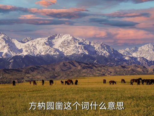 方枘，方枘圓鑿是什么意思啊