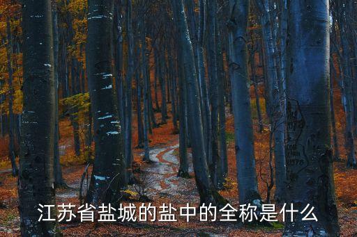 鹽中，鹽中一定含有金屬離子或金屬元素是錯的嗎為什么 堿中一定含有