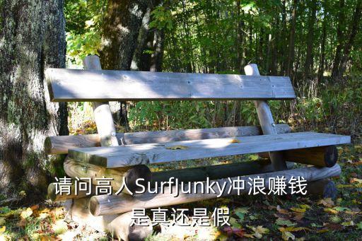 網(wǎng)上沖浪賺錢，請問高人SurfJunky沖浪賺錢是真還是假