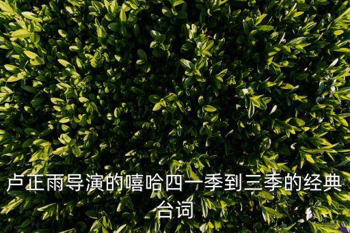 盧正雨導(dǎo)演的嘻哈四一季到三季的經(jīng)典臺詞