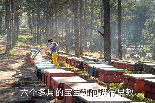 6個(gè)月寶寶早教，六個(gè)月寶寶早教方法 怎么教6個(gè)月寶寶