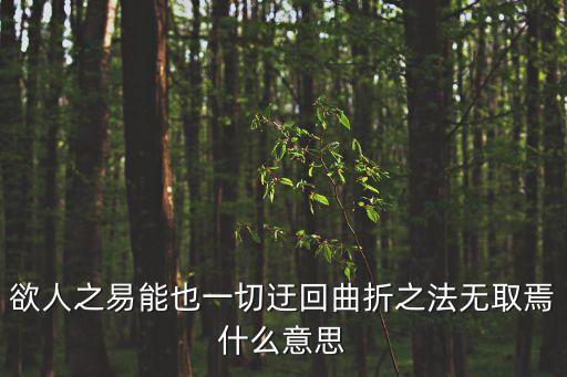 迂回曲折，迂回曲折的成語意思