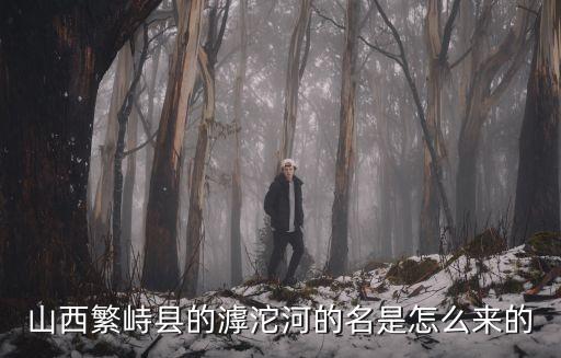 云中河景區(qū)，忻州市內(nèi)去云中河公園坐7路公交在哪下車