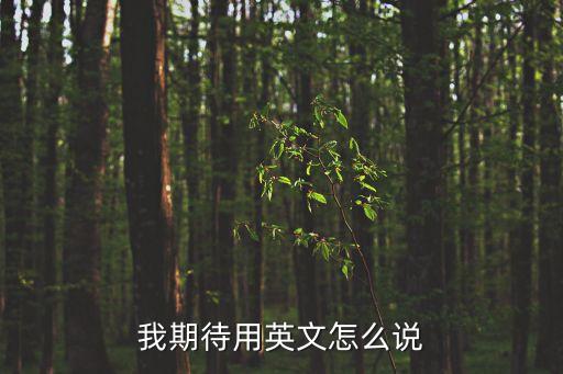 期待的英文，我期待用英文怎么說
