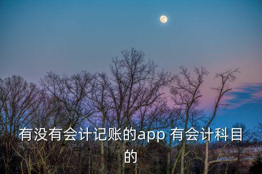 有沒有會(huì)計(jì)記賬的app 有會(huì)計(jì)科目的
