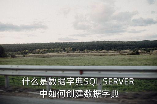 什么是數據字典SQL SERVER 中如何創(chuàng)建數據字典