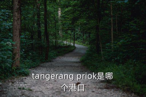 摩洛哥港口，摩洛哥海岸最大的港口