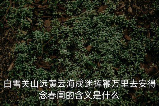 白雪關(guān)山遠(yuǎn)黃云海戍迷揮鞭萬(wàn)里去安得念春閨的含義是什么