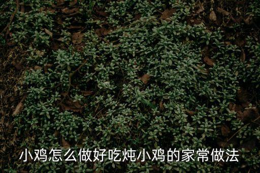 小雞怎么做好吃燉小雞的家常做法