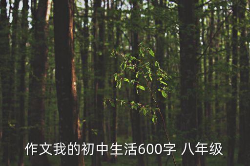 我的初中生活，作文我的初中生活不少于500字