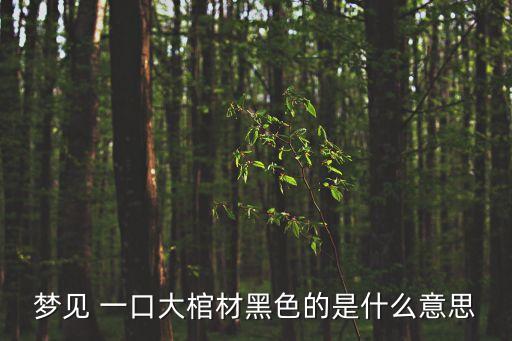 夢見 一口大棺材黑色的是什么意思