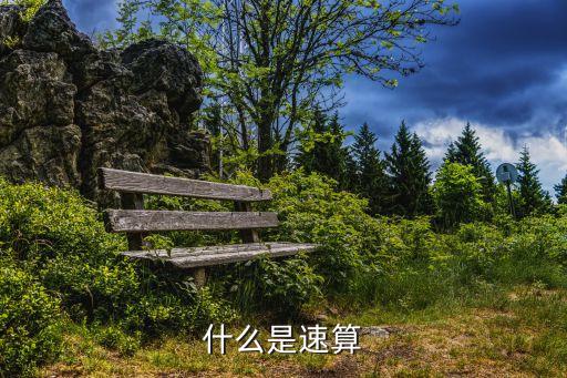 速算，什么是速算