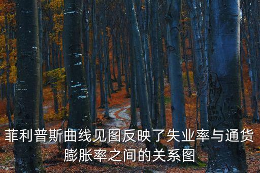 菲利普斯曲線見圖反映了失業率與通貨膨脹率之間的關系圖