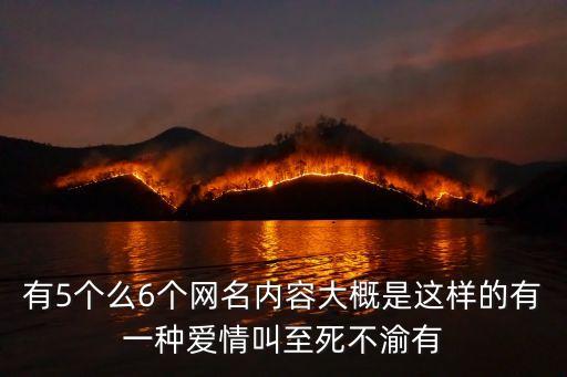你行我素，我行我素的意思