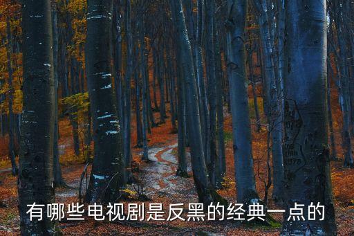反腐打黑電視劇大全，找反腐打黑電視劇