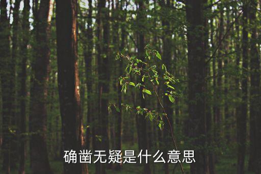確鑿無疑是什么意思