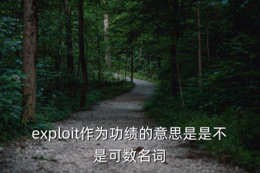 exploit，exploit是計算機中的一種黑客程序嗎