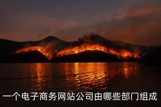 一個電子商務網站公司由哪些部門組成