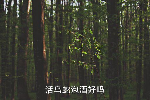 活蛇泡酒，蛇酒怎么泡
