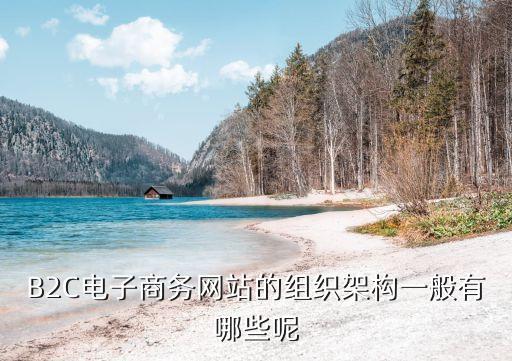 電商公司組織架構，B2C電子商務網(wǎng)站的組織架構一般有哪些呢